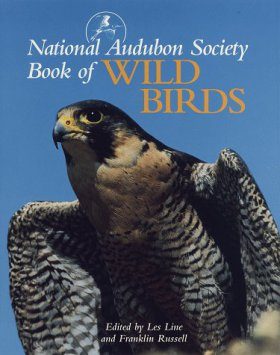 National Audubon Society Book of Wild Birds