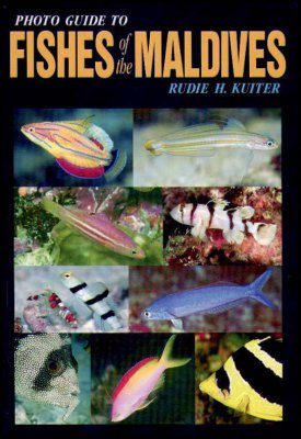 Photo Guide to Fishes of the Maldives
