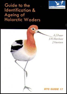 Guide to the Identification and Ageing of Holarctic Waders