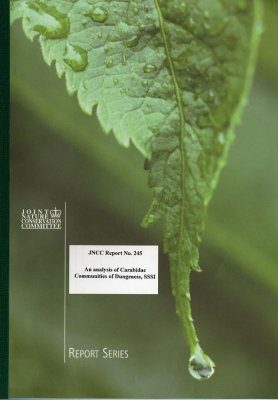 An Analysis of Carabidae Communities on Dungeness SSSI