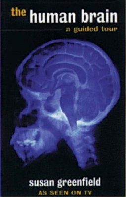 The Human Brain