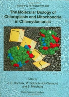 The Molecular Biology of Chloroplasts and Mitochondria in Chlamydomonas