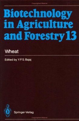 Wheat