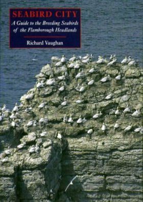 Seabird City
