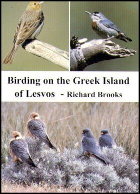 Birding on the Greek Island of Lesvos