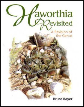 Haworthia Revisited