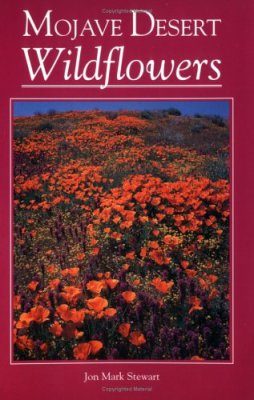 Mojave Desert Wildflowers
