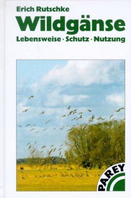 Wildganse: Lebensweise, Schutz, Nutzung