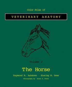 Colour Atlas of Veterinary Anatomy, Volume 2: The Horse