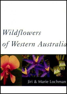 Wildflowers of Western Australia