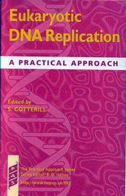 Eukaryotic DNA Replication