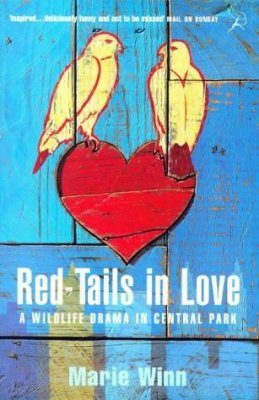 Red-Tails in Love: A Wildlife Drama in Central Park