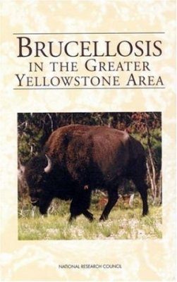 Brucellosis in the Greater Yellowstone Area