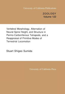 Vertebral Morphology