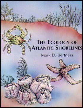 The Ecology of Atlantic Shorelines