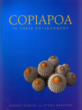 Copiapoa in their Environment