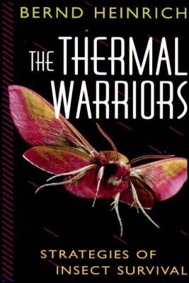 The Thermal Warriors