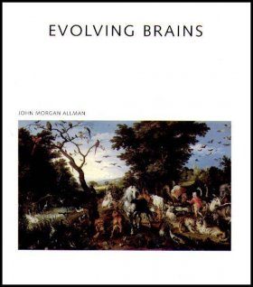Evolving Brains