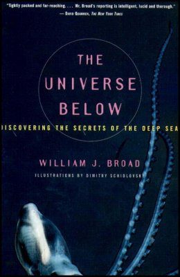 The Universe Below