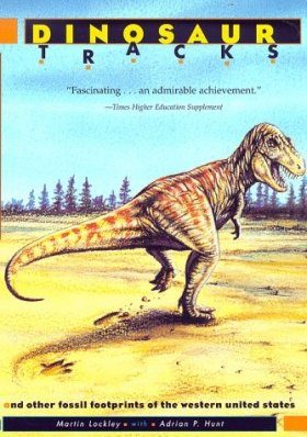 Dinosaur Tracks