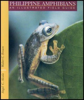 Philippine Amphibians