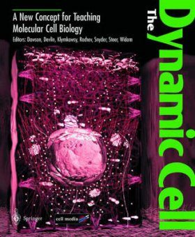 The Dynamic Cell