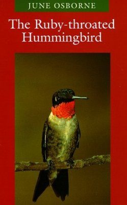The Ruby-Throated Hummingbird