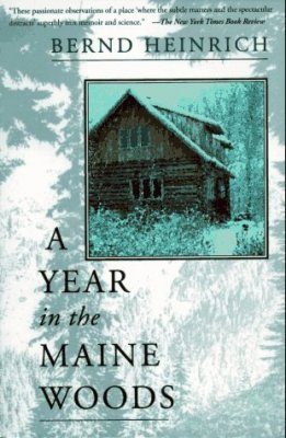 A Year in the Maine Woods