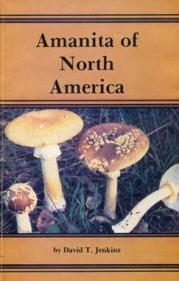 Amanita of North America