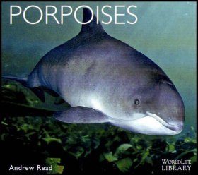 Porpoises