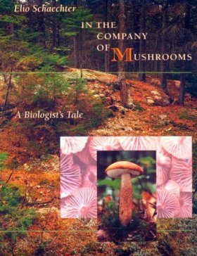 In the Company of Mushrooms