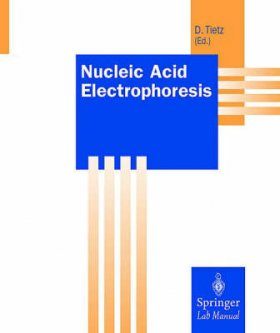 Nucleic Acid Electrophoresis