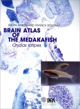 Brain Atlas of the Medakafish