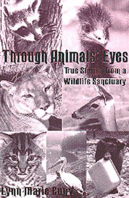 Through Animals' Eyes