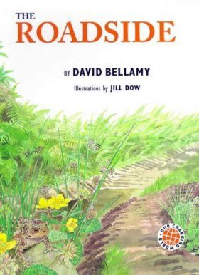 The Roadside