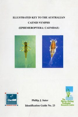 Illustrated Key to the Australian Caenid Nymphs (Ephemoptera:Caenidae)