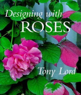 Versatile Roses
