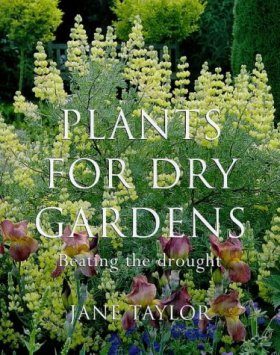 Plants for Dry Gardens