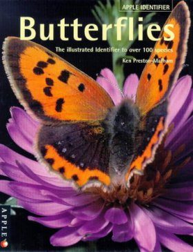 Butterflies Identifier