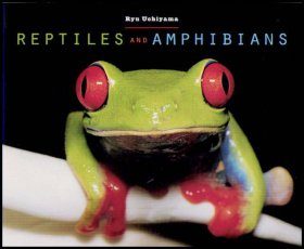 Reptiles and Amphibians