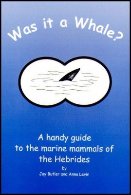 Was it a Whale?