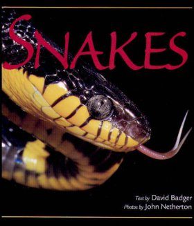 Snakes