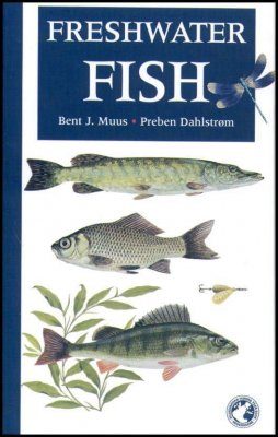 Freshwater Fish
