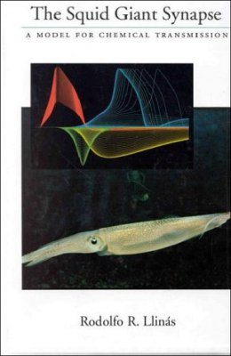 The Squid Giant Synapse