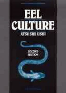 Eel Culture