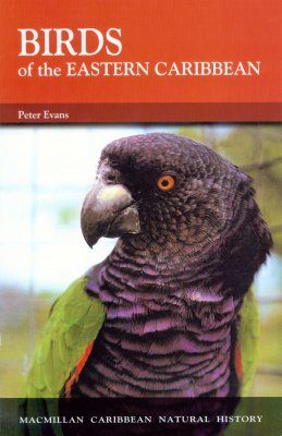 Birds of the Eastern Caribbean