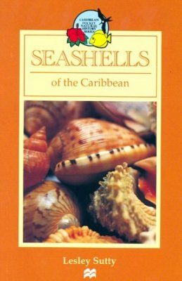 Seashells of the Caribbean