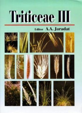 Triticeae III