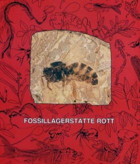 Fossillagerstatte Rott bei Hennef im Siebengebirge