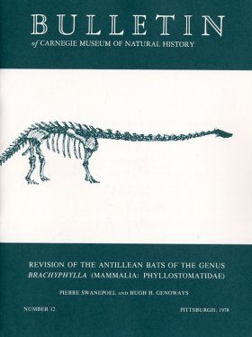 Revision of the Antillean Bats of the genus Brachyphylla (Mammalia: Phyllostomatidae)